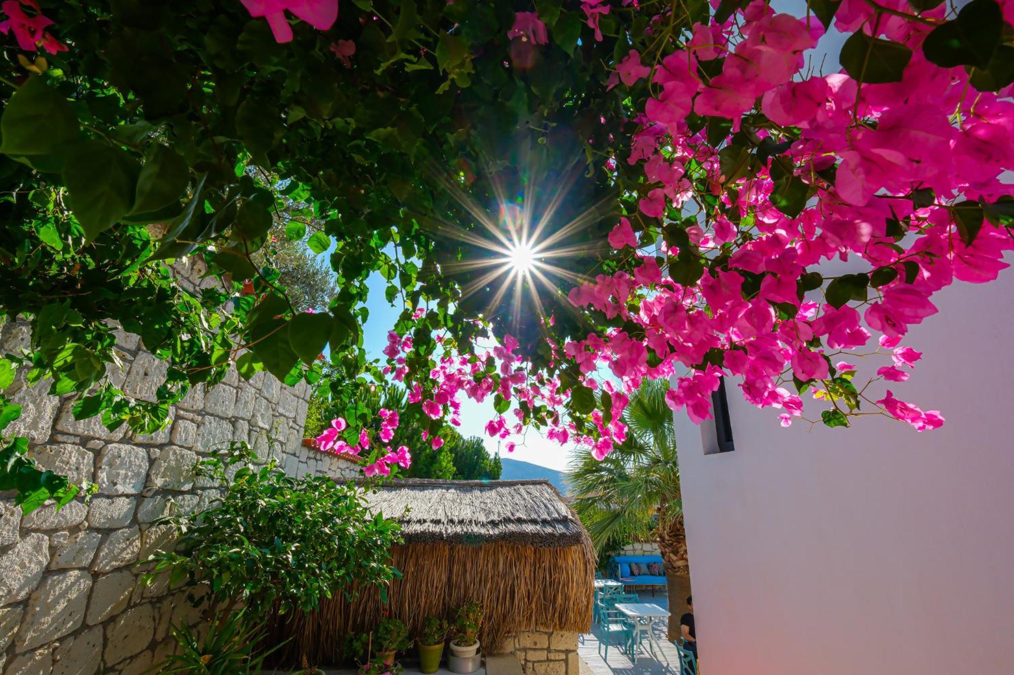 Kybele Alaçatı İzmir